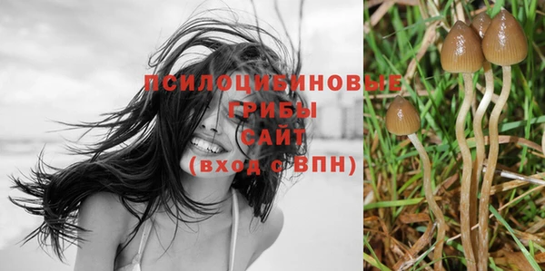 а пвп мука Аркадак