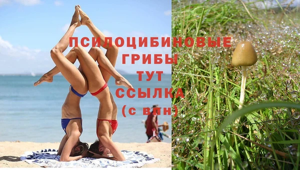 соль курить ск Арсеньев