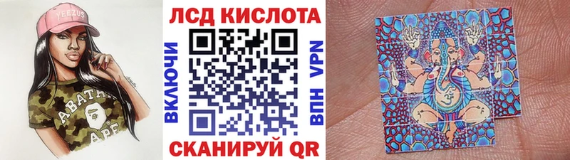 Марки NBOMe 1500мкг  darknet как зайти  Курчалой  kraken сайт 