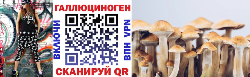 Галлюциногенные грибы Cubensis  Курчалой 
