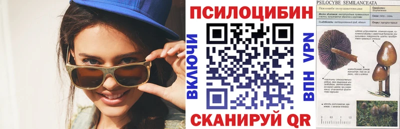 Псилоцибиновые грибы ЛСД Курчалой