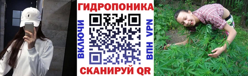 Бошки Шишки OG Kush Курчалой